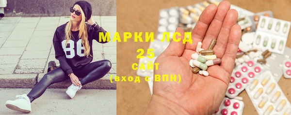 гашик Алексин