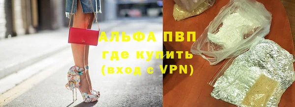 гашик Алексин