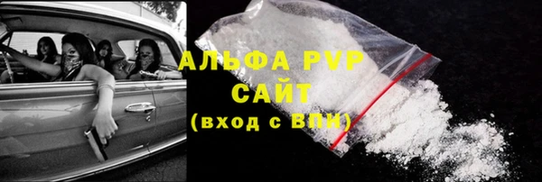 гашик Алексин