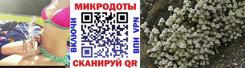 дарк нет состав Пермь mega ссылка Галлюциногенные грибы MAGIC MUSHROOMS купить наркотики цена