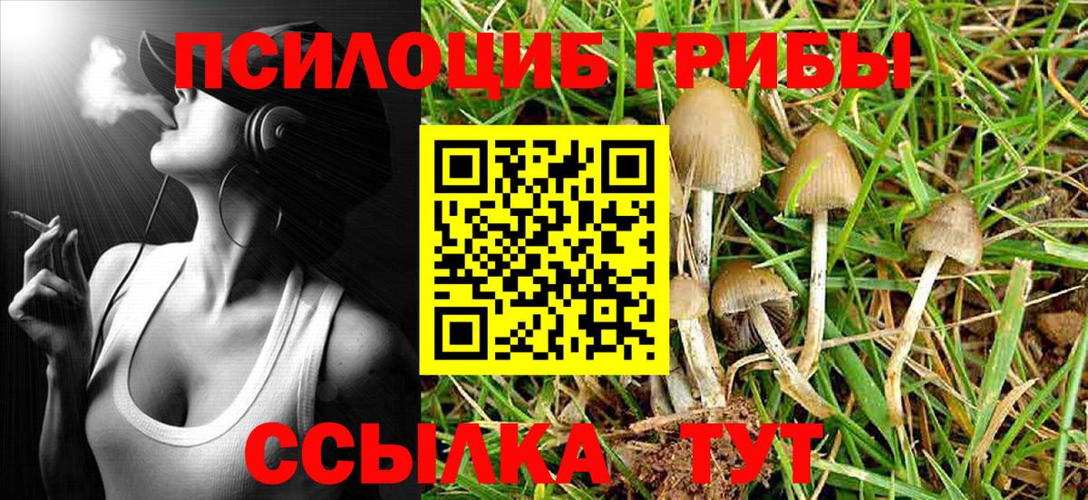 Псилоцибиновые грибы мицелий Пермь