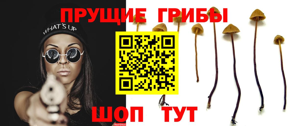 Галлюциногенные грибы GOLDEN TEACHER  Вход с VPN  Псилоцибиновые грибы прущие грибы  Пермь 